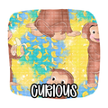 CURIOUS | ETAT: OCTOBER
